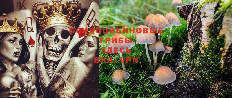 Псилоцибиновые грибы Magic Shrooms  хочу наркоту  OMG зеркало  Лодейное Поле 